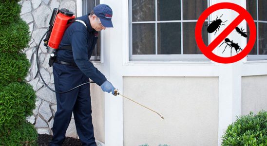 Basınsitesi Hamam Böceği İlaçlama böcek ilaçlama ve haşere kontrolü — ilaclama-tr.com